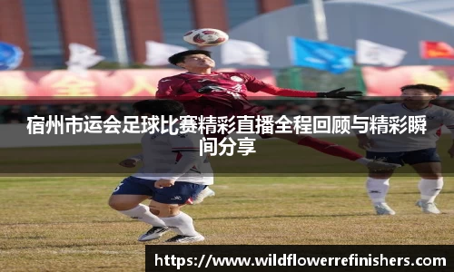 雷火竞技手机网页版登录