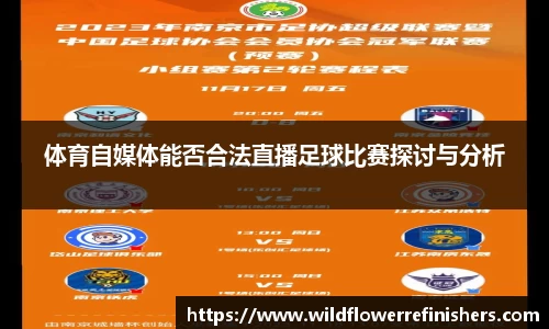 体育自媒体能否合法直播足球比赛探讨与分析